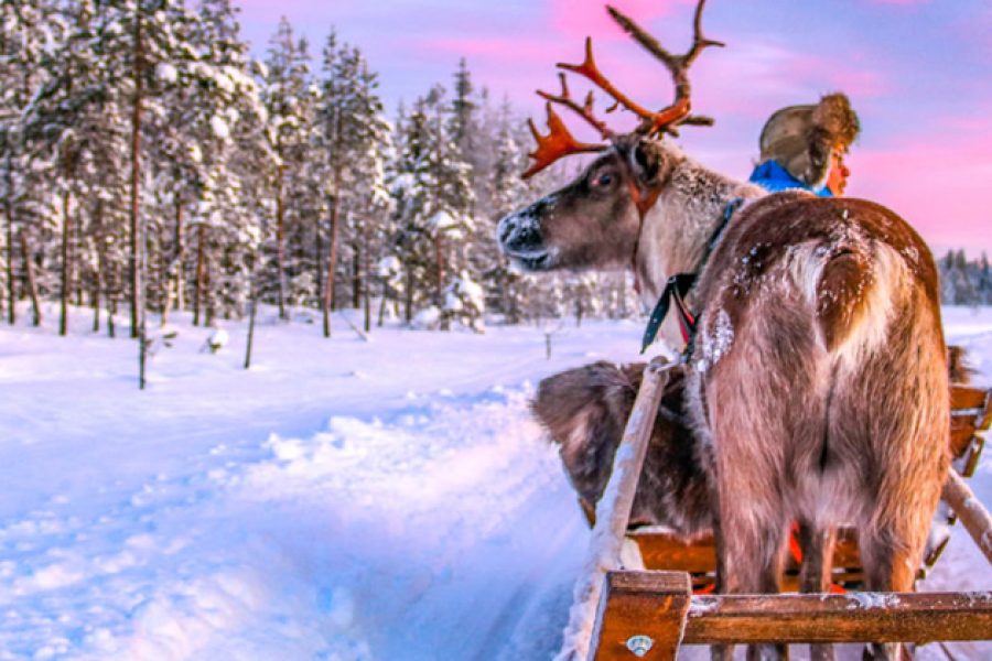7 Days CHRISTMAS IN LEVI, ROVANIEMI, AND SANTA’S VILLAGE