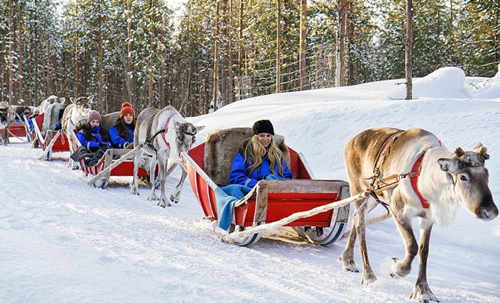 DAY 4: LEVI - REINDEER FARM - SPA