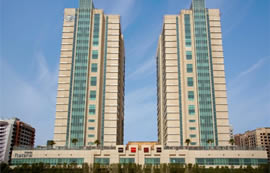 Day 3: Dubai – Dinner Safari (optional)